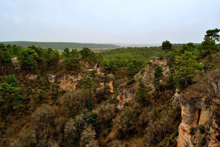 Barrancos y pinares en el entorno de las Lagunas de Cañada del Hoyo en Cuenca