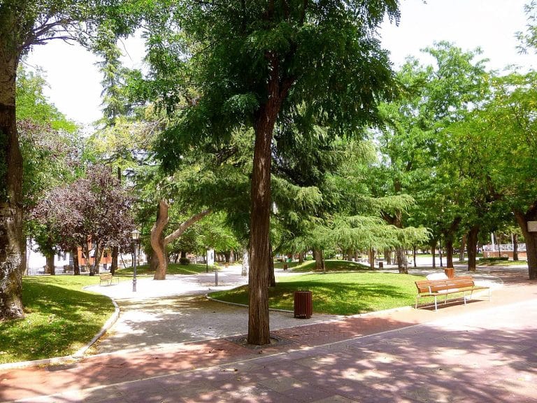 Senderos y zonas verdes del Parque de la Concordia en Guadalajara, Castilla-La Mancha