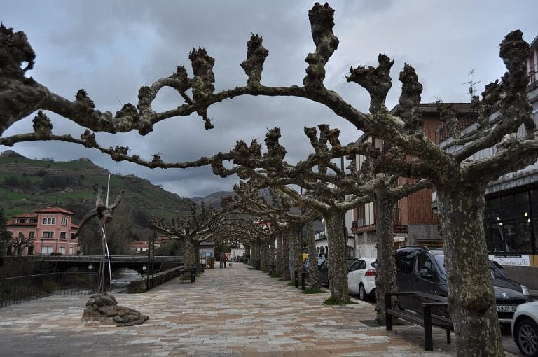 Paseo arbolado en Liérganes, Cantabria, junto al río y edificios históricos