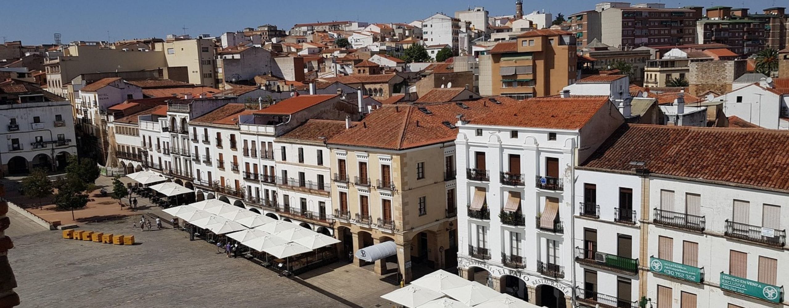 LA PROVINCIA DE LA CIGÜEÑA