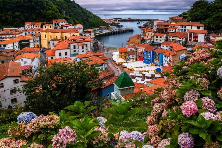 Vista del puerto de Cudillero con casas de colores y flores en primer plano, en la costa de Asturias