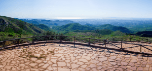 PEREGRINOS DEL REINO