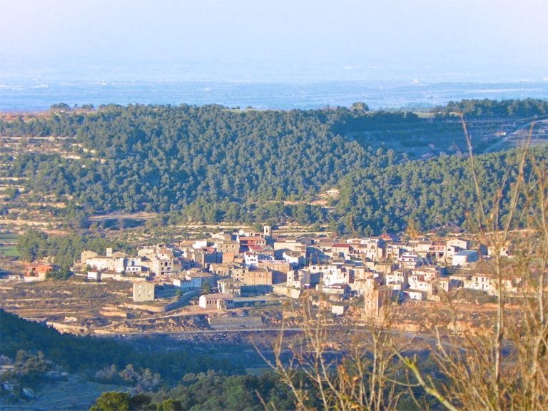 Vista panorámica de Rocallaura desde el santuario del Tallat, rodeado de campos y bosques en la comarca del Urgell