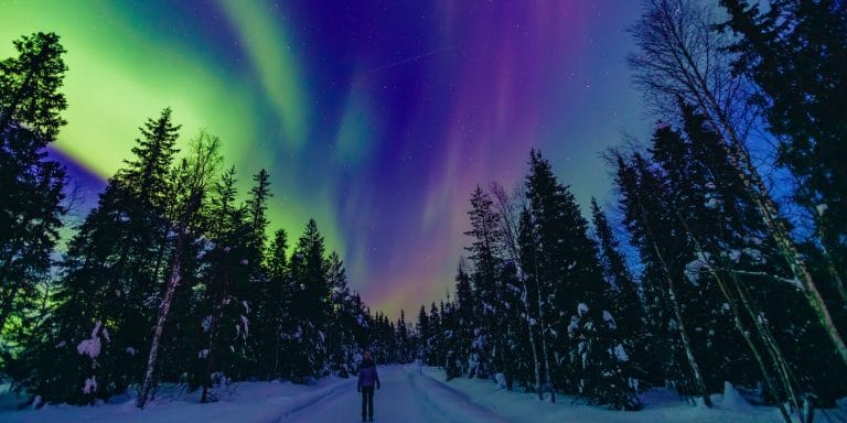 Auroras boreales iluminando el cielo estrellado sobre un bosque nevado en Jukkasjarvi Laponia Suecia con una persona observando