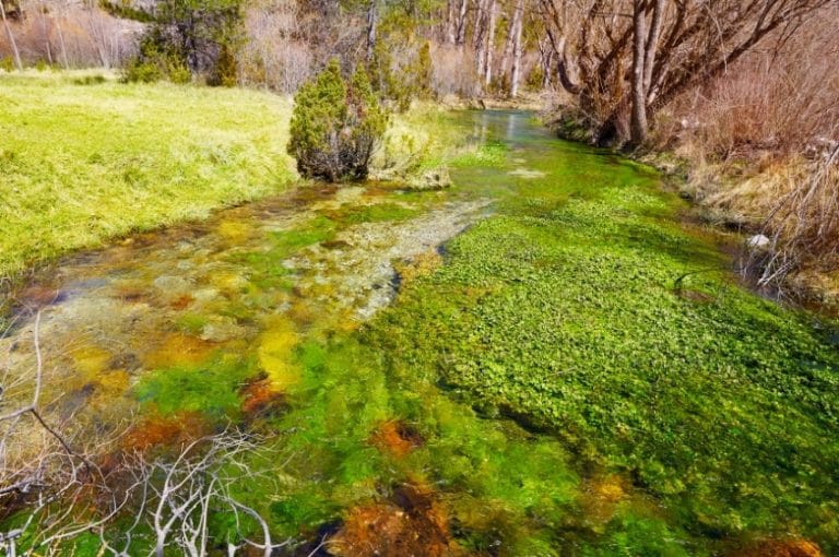 Nacimiento de los Ojos del Cabriel con aguas cristalinas y vegetación en la Serranía de Cuenca