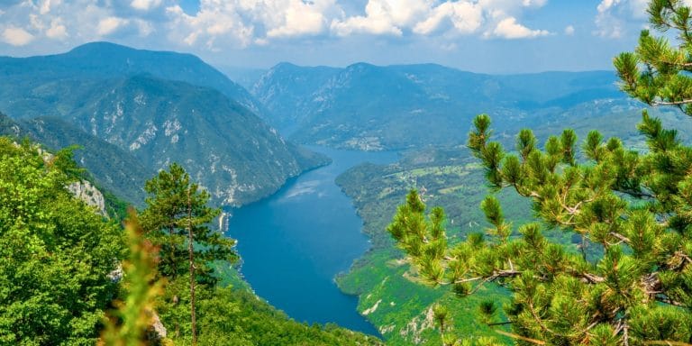 Vista panorámica del Parque Nacional Tara en Serbia con el río Drina rodeado de montañas y bosques verdes