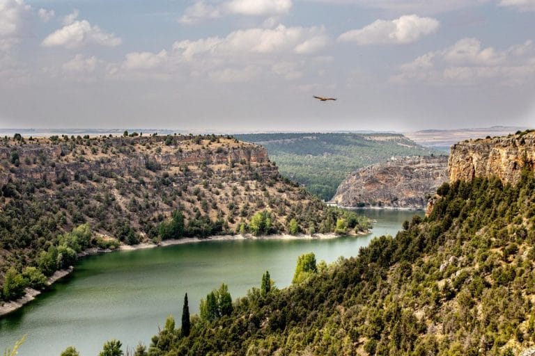 Vista panorámica de las hoces del río Duratón en Segovia con cañones rocosos, vegetación y un buitre en vuelo