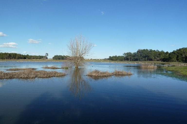 Vista de las lagunas de Cantalejo en Segovia con aguas tranquilas, vegetación y reflejos en el paisaje natural