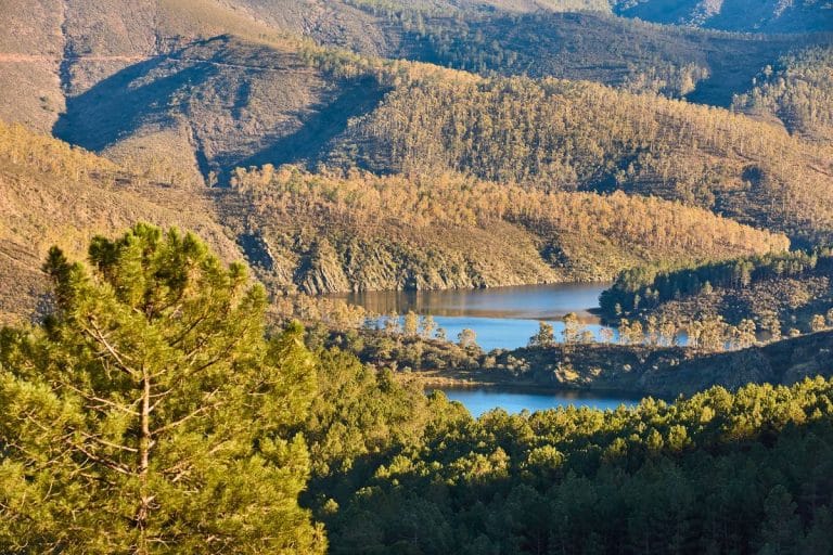 Vista panorámica aérea del meandro del Melero, mostrando un meandro en forma de U del río Alagón, con sus laderas cubiertas de bosques