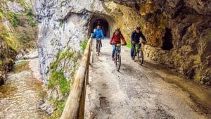 Atraviesa los antiguos túneles de la Senda del Oso en bicicleta. Disfruta de la aventura del desfiladero y el río en esta popular ruta asturiana.