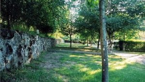 El entorno natural del Camping 5 Castaños es ideal para el descanso y las actividades al aire libre. Elige tu parcela rodeada de naturaleza y tranquilidad en Salamanca.