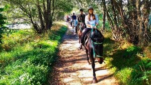 Disfruta de una ruta ecuestre en Girona y explora la naturaleza y los paisajes rurales. El paseo a caballo es una actividad tranquila ideal para desconectar.