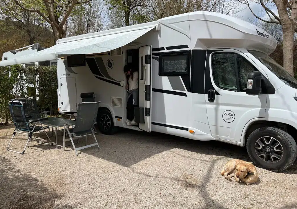 Benimar Tessoro 463