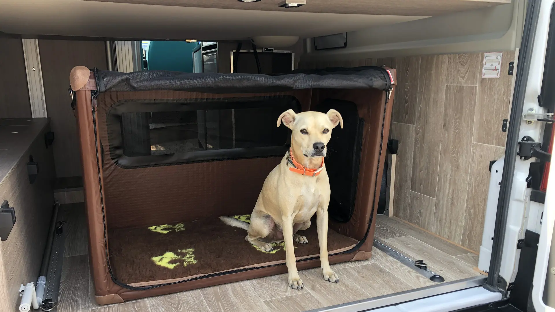 csm_viajar-con-su-perro-en-autocaravana-activans_43e6d56e0a