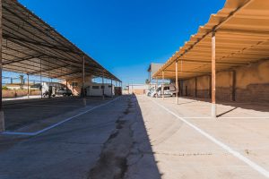 Camper Park Rey Lobo