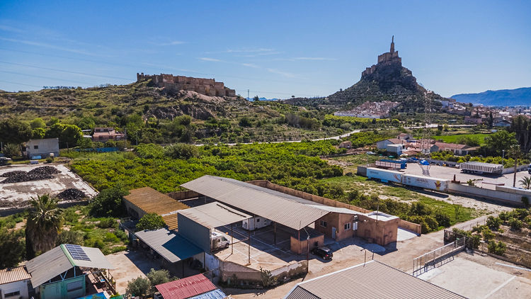 Camper Park Rey Lobo