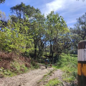 Senderismo por el río Miño con guía