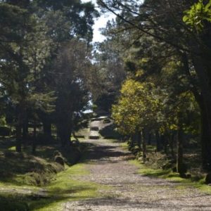 Senderismo por el río Miño con guía
