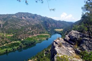 Kayak de Miravet a Benifallet