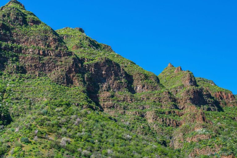 Barranco de Guayadeque 2016 02
